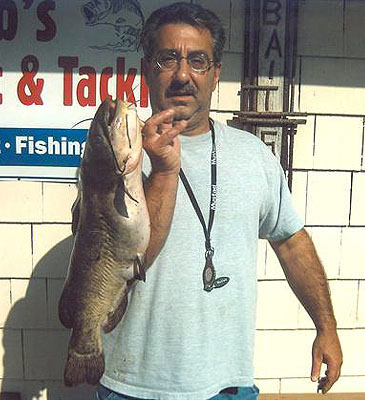 Record photograph for Ameiurus nebulosus